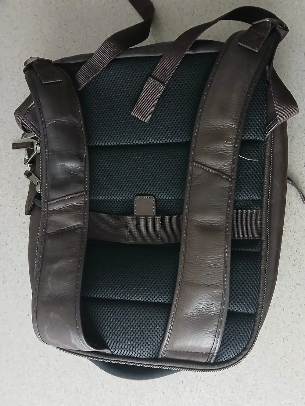 Renwick Brown Men's Backpack Adjustable Strap Padded Inner & Outer Pockets
